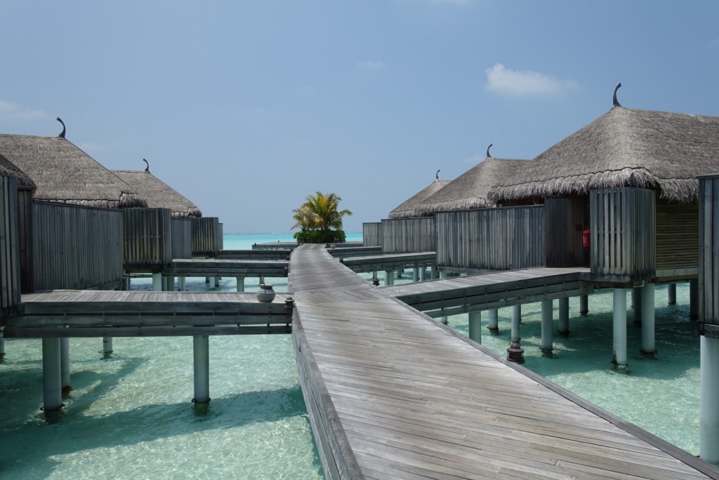 Constance Moofushi