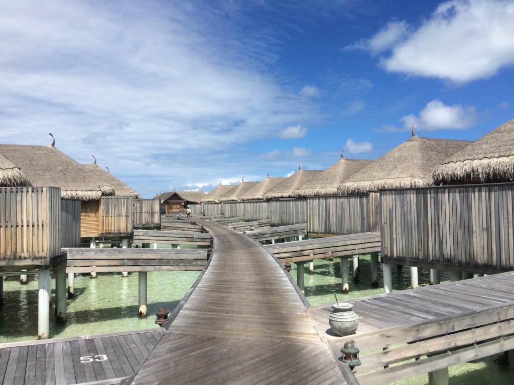 Moofushi-12