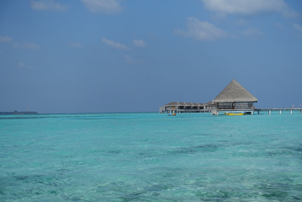 Moofushi-6