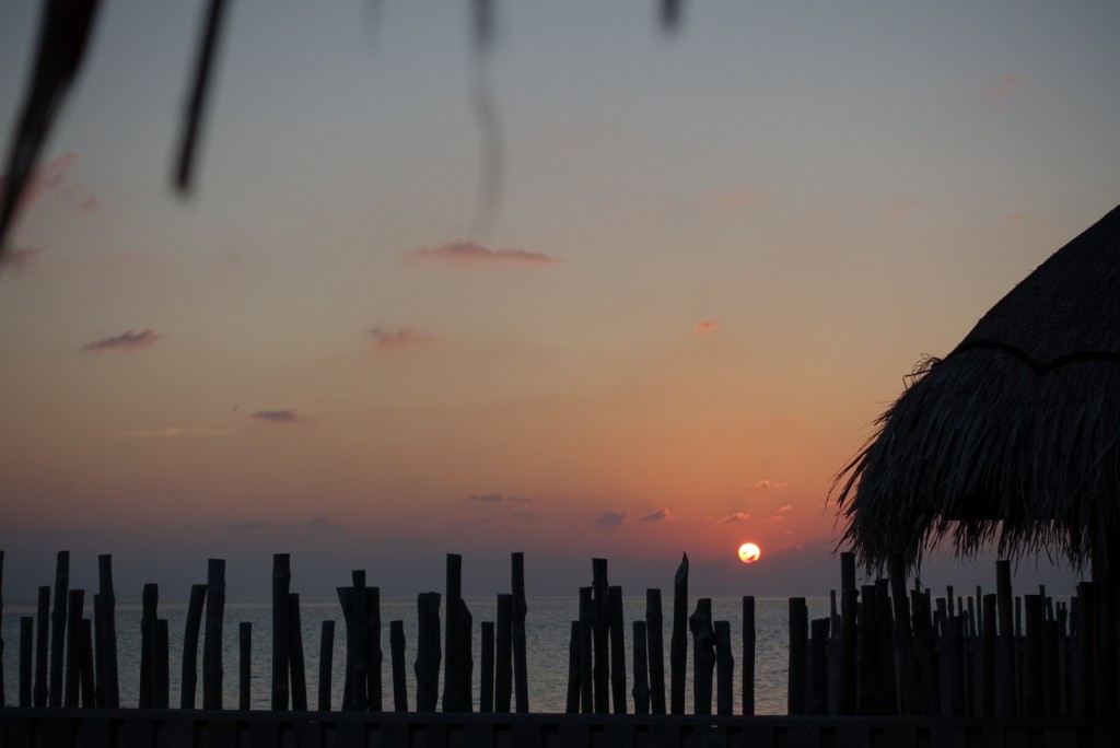 Moofushi-8