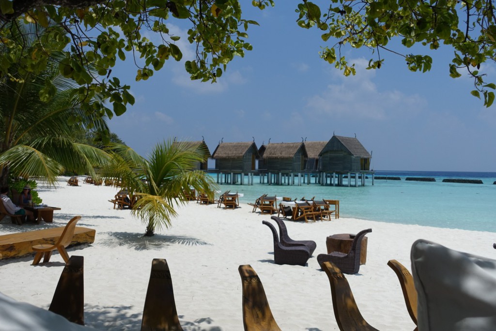 Moofushi-9