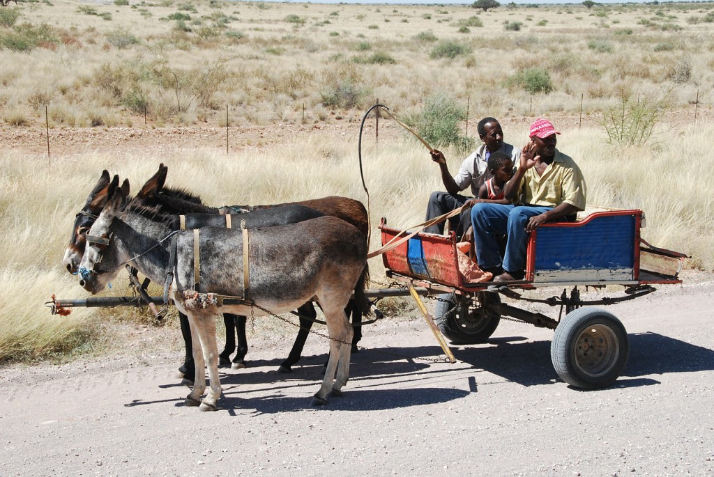 cart-61704_1280