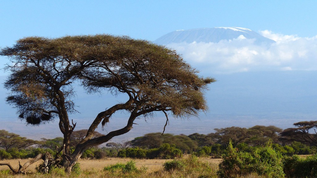 Safari en Tanzanie