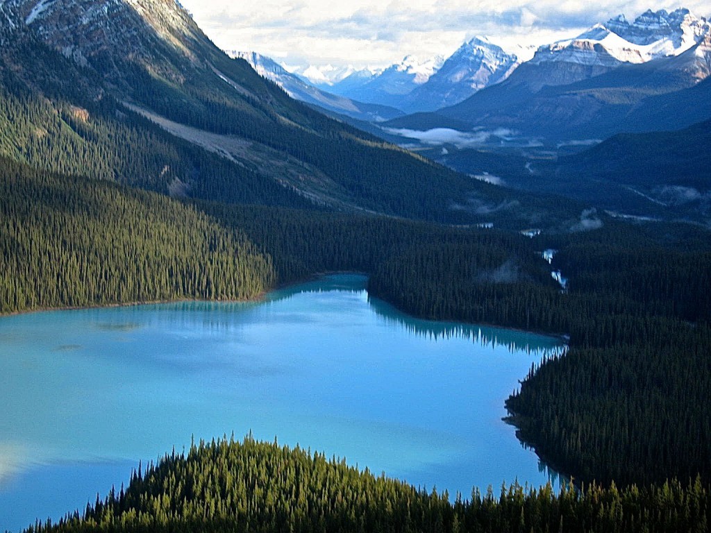 peyto-lake-485322_1280